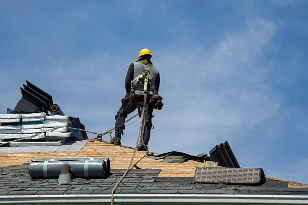 Professional Roofing technician working in Louisburg, KS